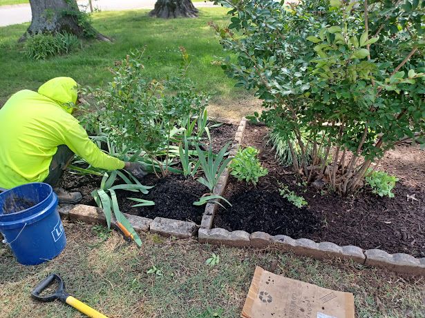 Mulching