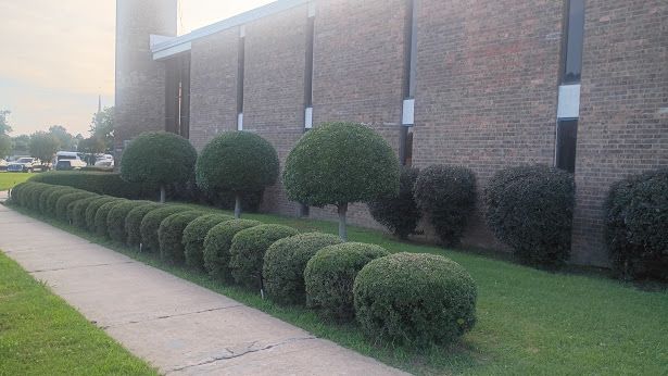 UNIVERSAL LAWNCARE gallery photo